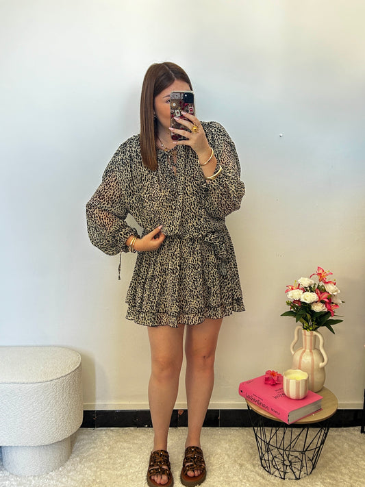 Robe LEO